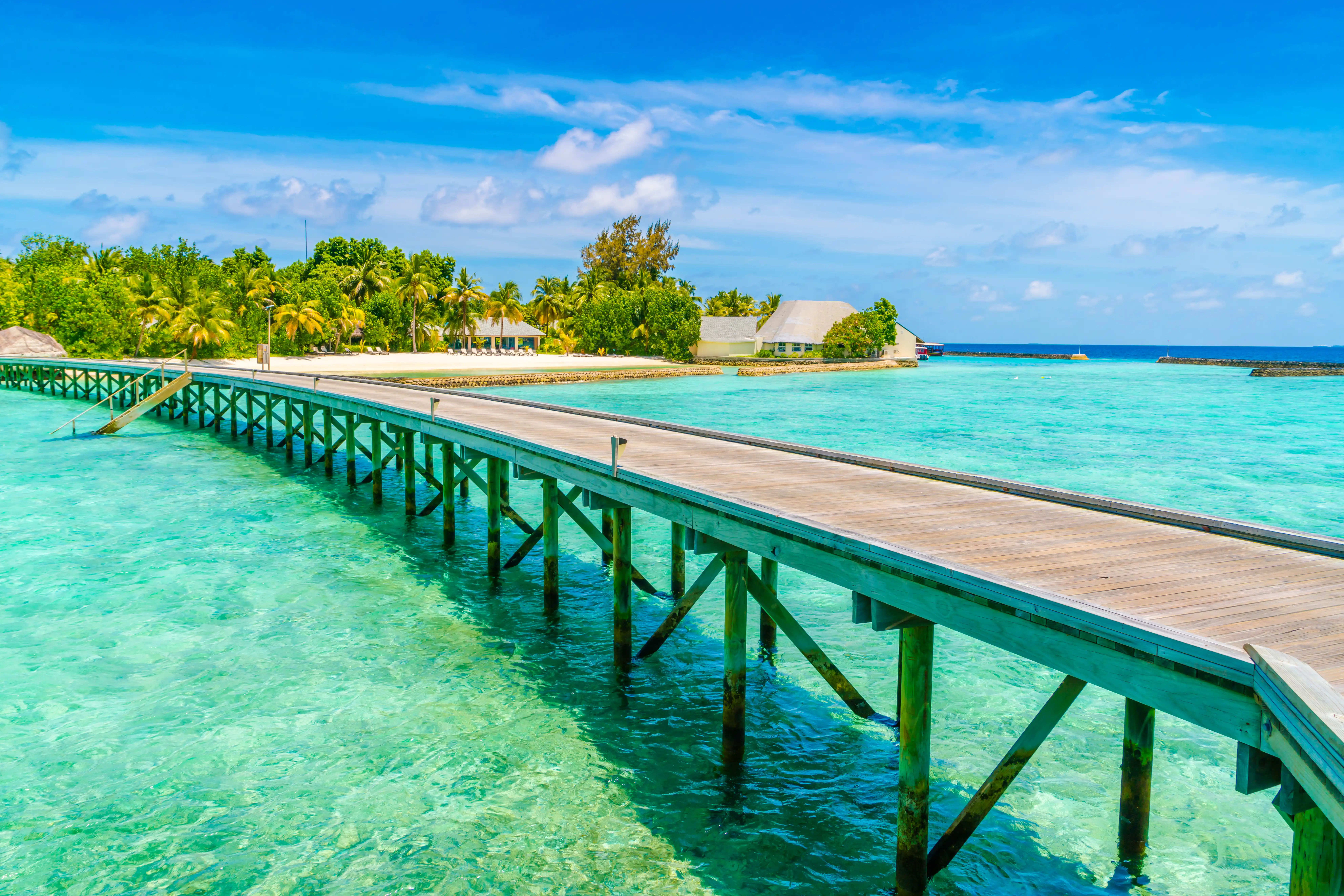 viaje-tropical-resto-perfecto